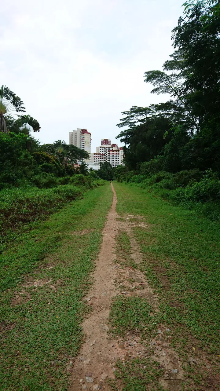 Queenstown Tanglin Halt Rail Corridor
