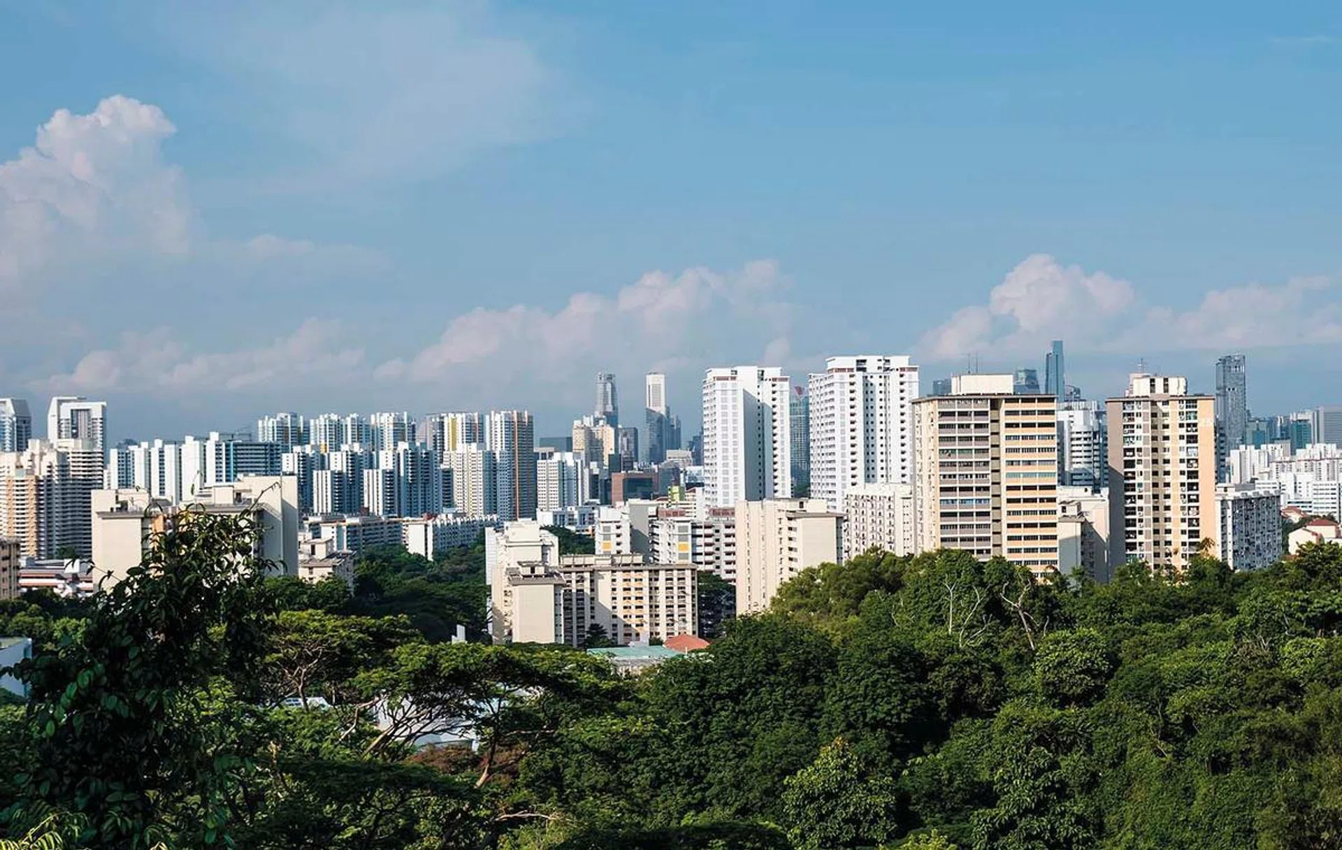 Singapore high density residential area skyline in forest