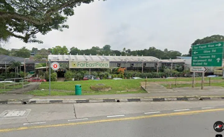 Screenshot of Far East Flora street view.