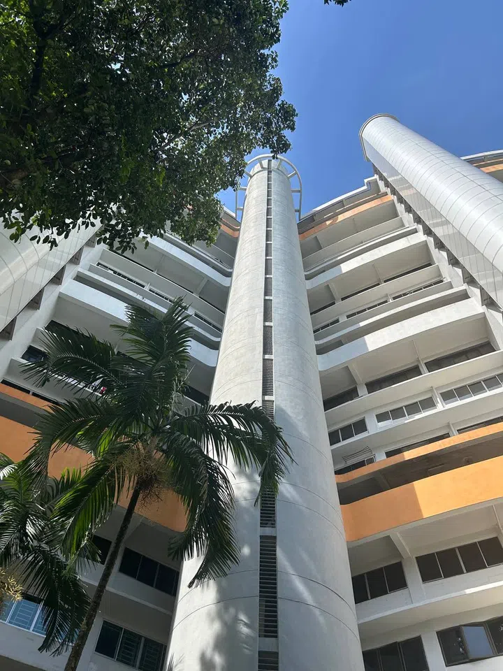 The centre lift shaft where the two curving sides meet at the Queenstown Butterfly Block, 168A Mei Ling Street.