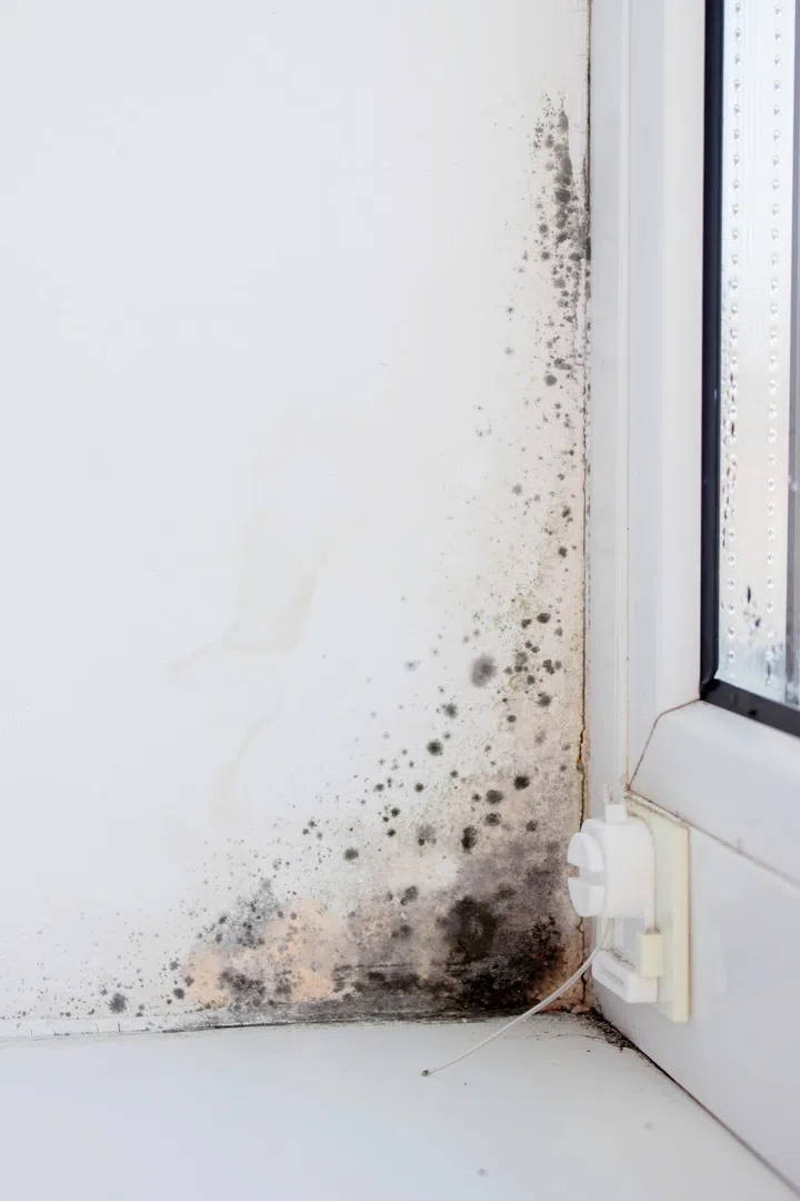 There is significant mold infestation visible in the corner of the window, indicating poor ventilation.