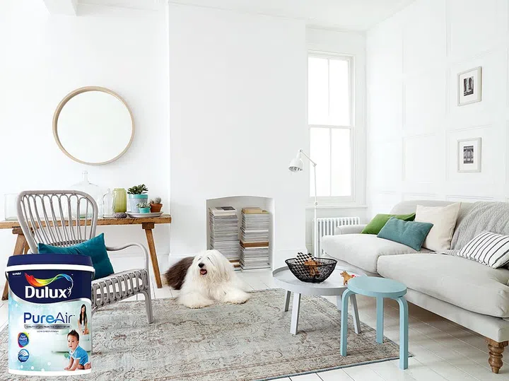 dulux, paint, odour, most odourless paint, pureair, living room, white,