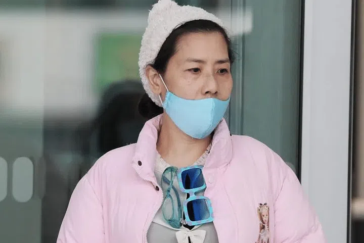 Tan Lee Hoon is facing eight counts of voluntarily causing hurt to the Filipino nationals. ST PHOTO: KELVIN CHNG