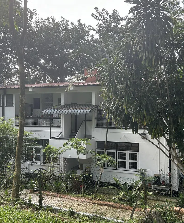 A close-up of the smaller flats along Jalan Hang Jebat from the previous image. Each set of windows belong to a home, and four separate flats are captured in the image above.