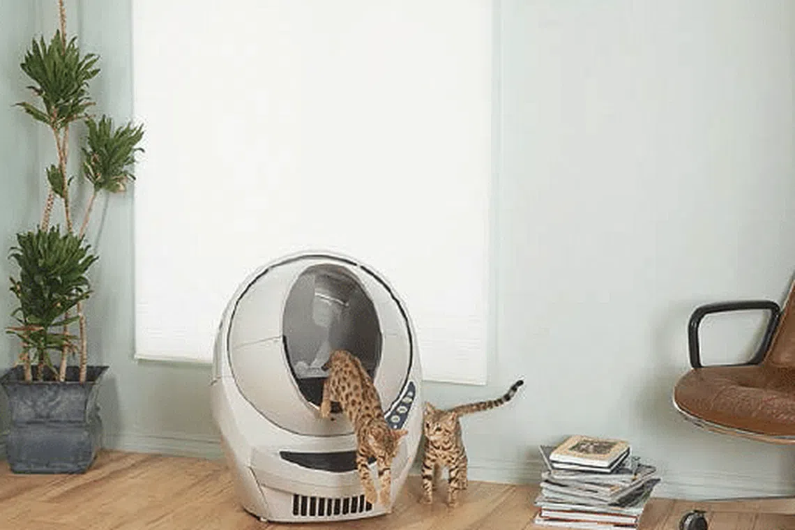 A kitty litter machine that self-cleans? Yes please! - Home & Decor ...