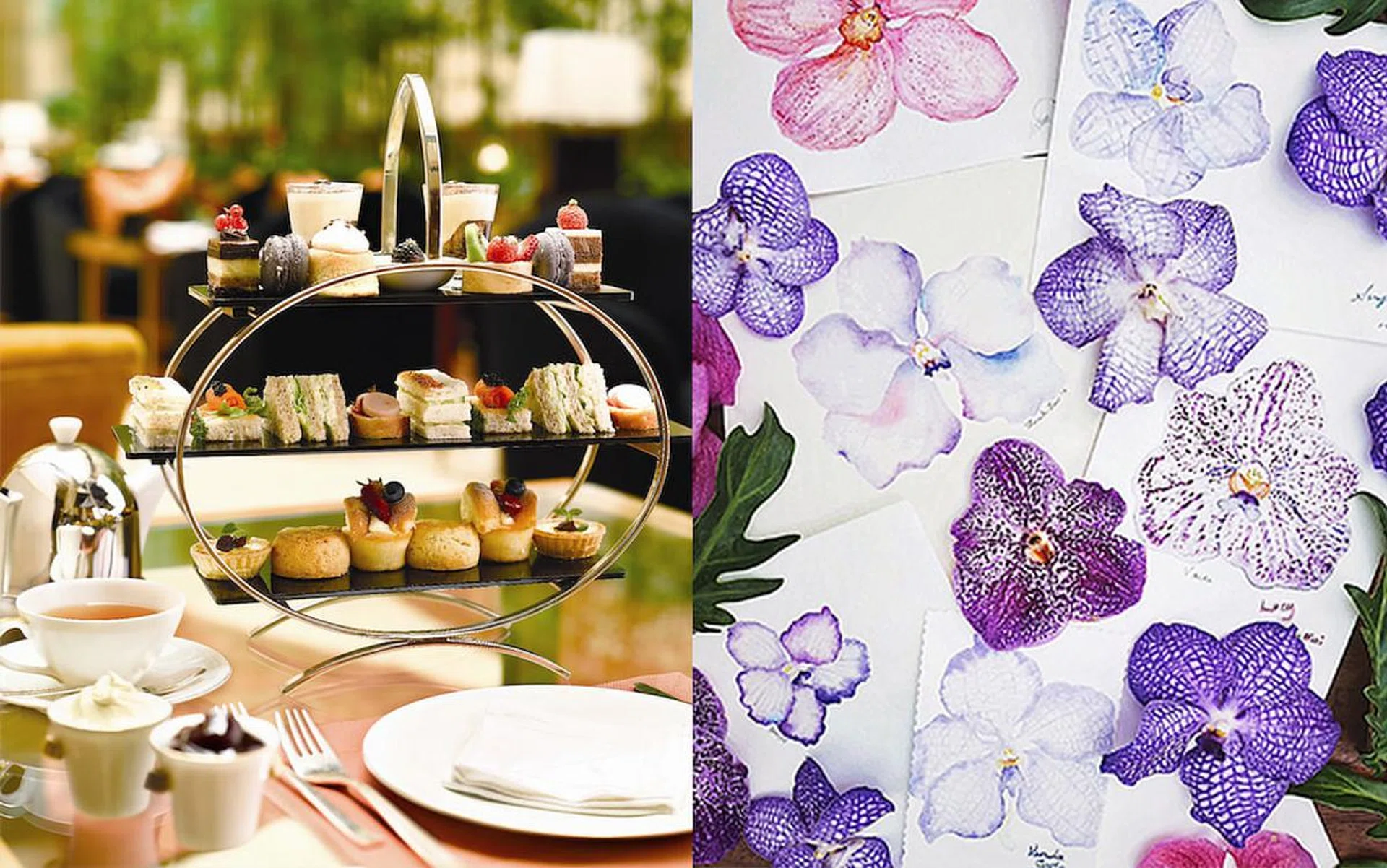 63634-screen_shot_2017-05-12_at_9