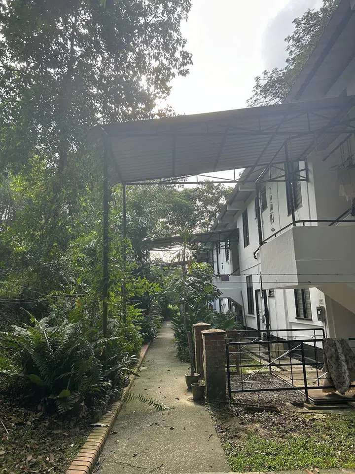 The backyards of the terrace houses along Jalan Hang Jebat. Along the narrow path there were tea tables and large fish pots set up too.