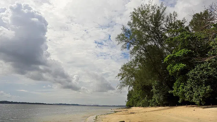 Coney Island beach in Singapore. Image NEA