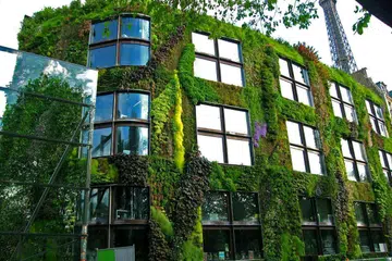 vertical garden