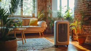 A compact cooling unit sits amidst lush greenery and soft sunlight, creating a tranquil ambiance in a welcoming, stylish home setting.