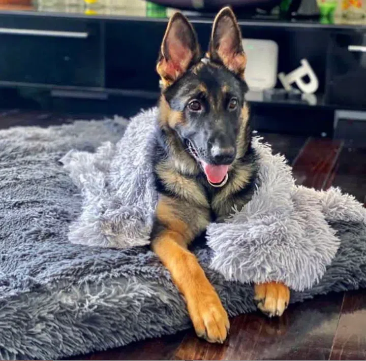 Brooklyn® Deep Sleep Throw