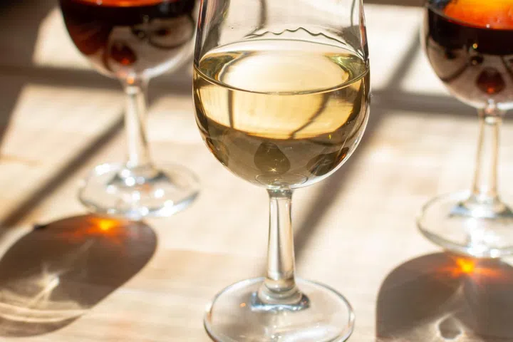 Sherry wine tasting in wine cellars, selection of different jerez fortified wines from dry to very sweet in glasses, Jerez de la Frontera, Andalusia, Spain