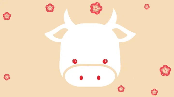 Ox 2024 Zodiac Feng Shui reading by Grand Master Phang