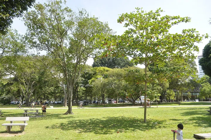 East Coast Park Picnic Area