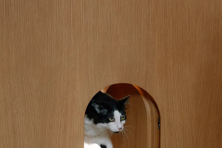 Cut into the bedroom door, a discreet arched cat door allows Yquem and Lafite to roam freely while blending seamlessly into the bespoke joinery.