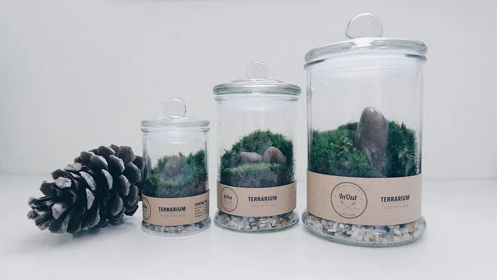 terrarium, xmas, gift, guide, christmas, 2015, gifts, homeware, house-proud