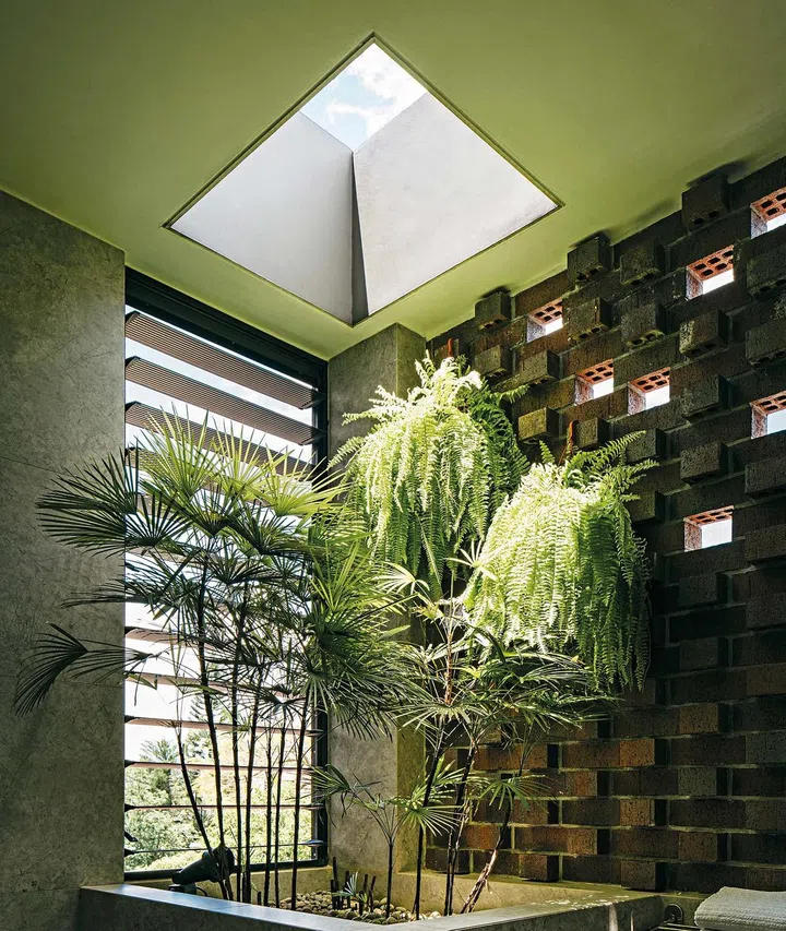 Trees in the inside of the verandah