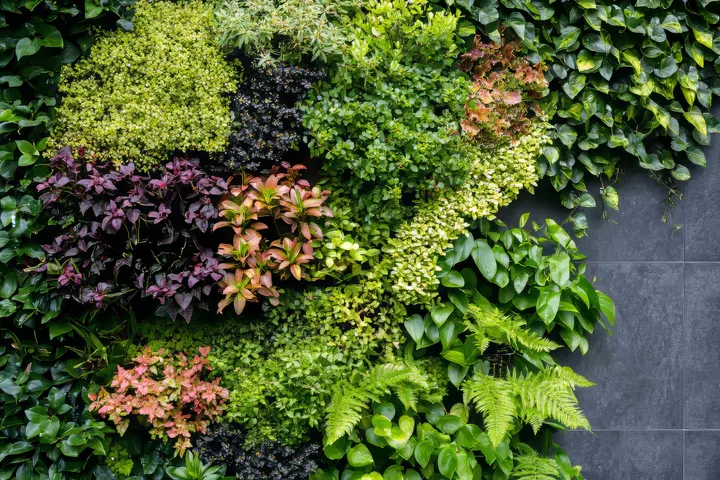 Vertical garden featuring diverse urban plants on a contemporary wall, emphasizing greenery.