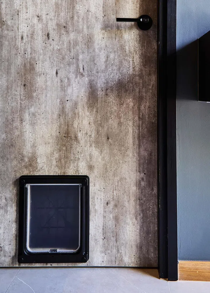 This cat door
is just one of

numerous feline-
friendly design

features.