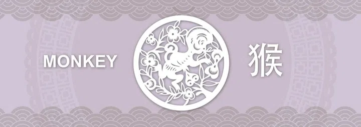 81895-monkey