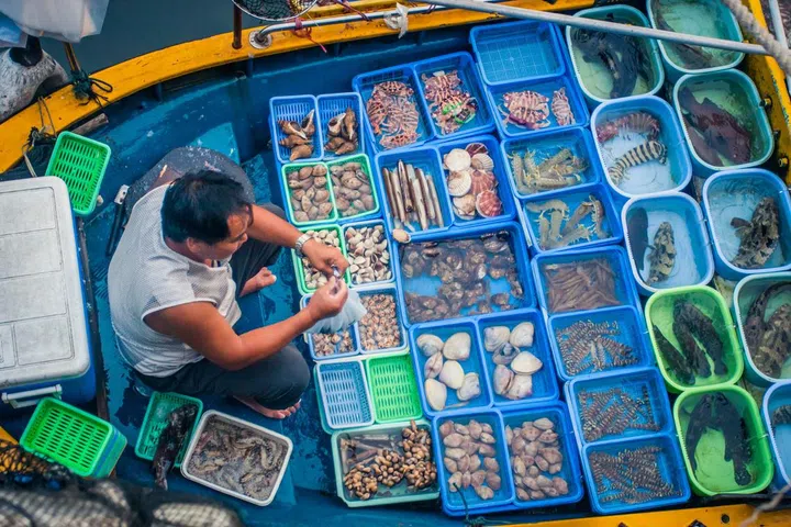 Hong Kong, China - 12 June, 2009: Local fisherman selling freshly caught seafood at the pier in Sai Kung