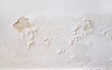 Rain water leaks on the wall causing damage and peeling paint.