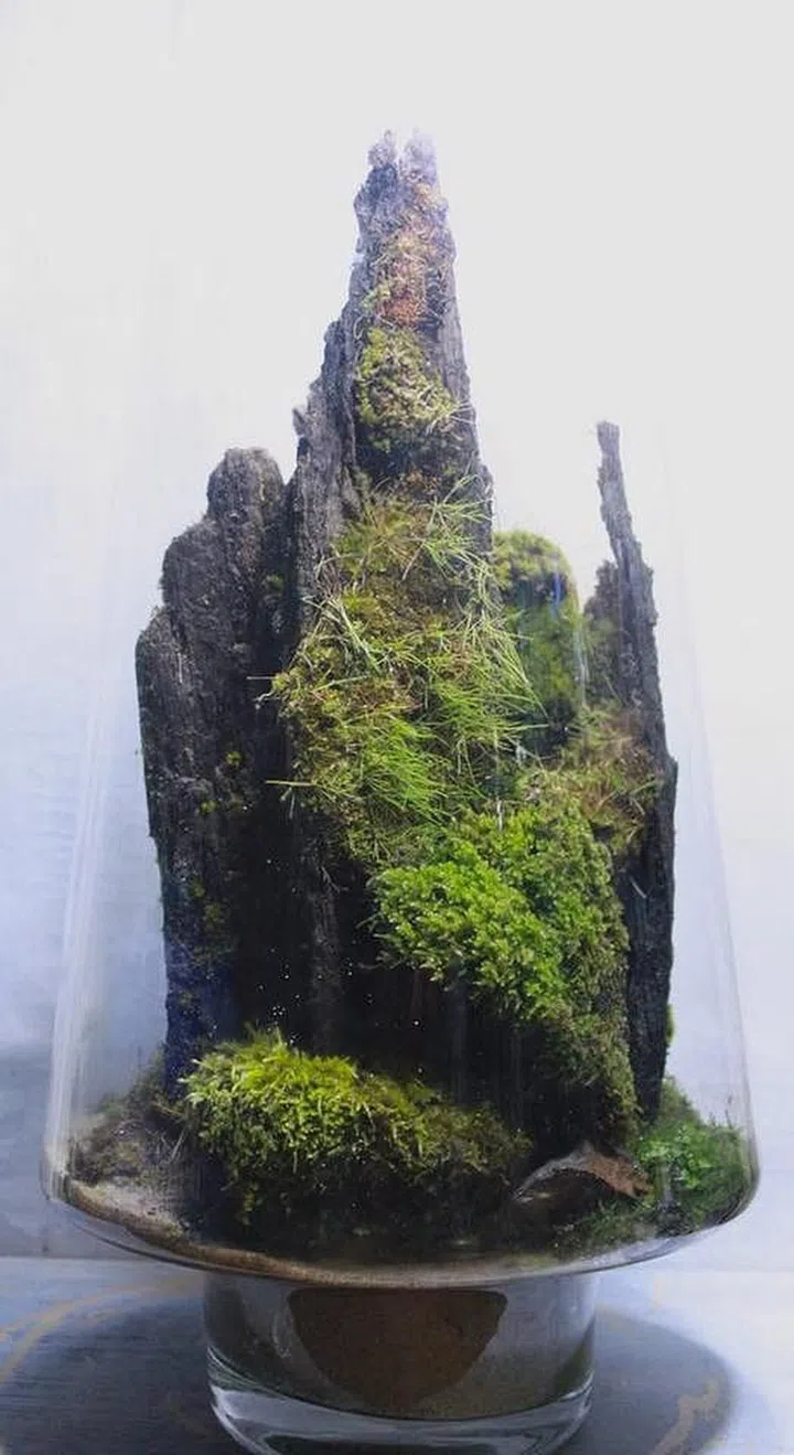 Chinese Painting Inspired