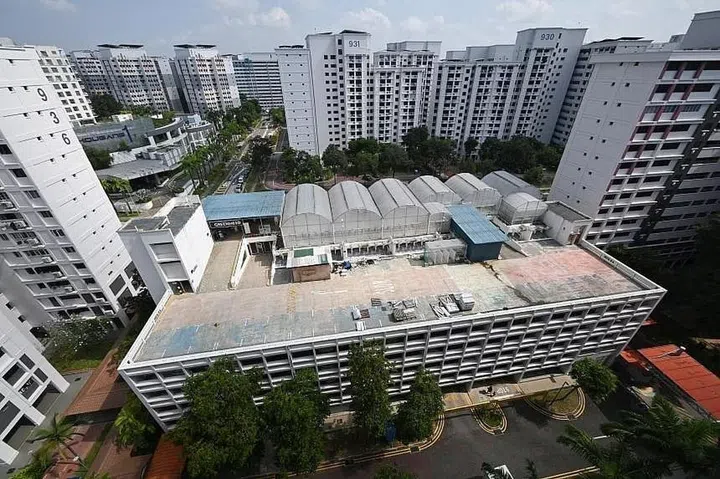 Greenhood, a commercial company, won a government tender three years ago to run the rooftop farm, which began operations in June. ST PHOTO: SHINTARO TAY
