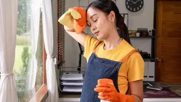 domestic helper cleaning window