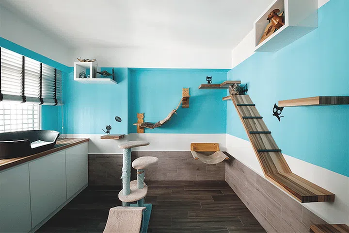 One bedroom became a designated space for feeding and cleaning the cats. It is outfitted with planks and perches, and accessories that make the room resemble a mini animal “gym”.