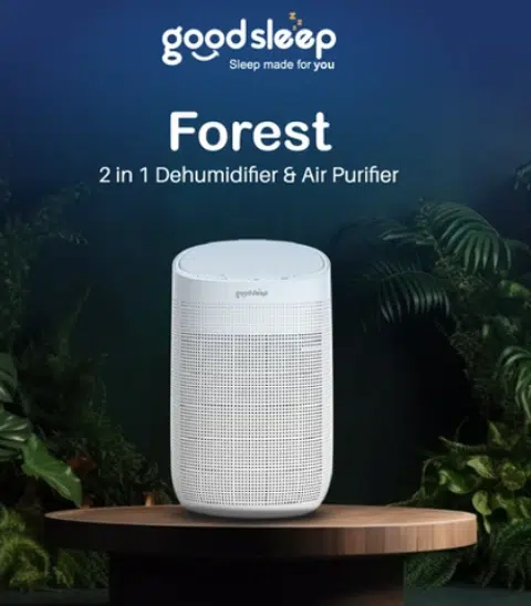 Goodsleep Forest 2-in-1 Dehumidifier/Air Purifier