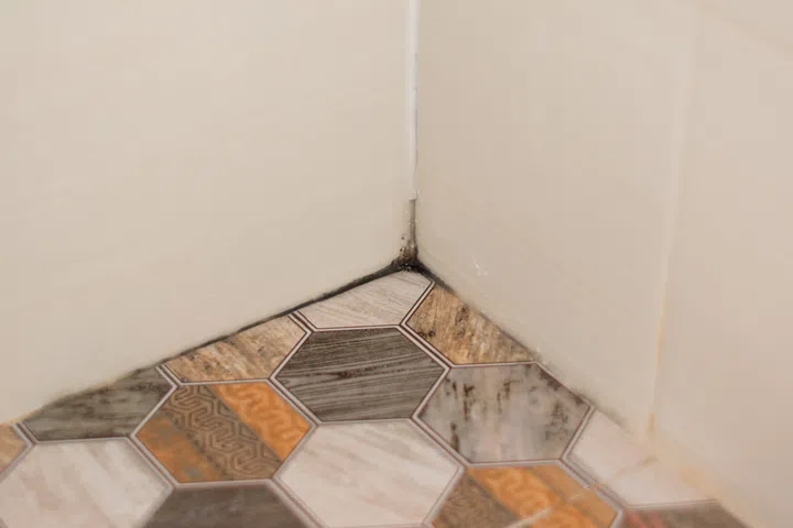 Mould on tiles in the shower room.