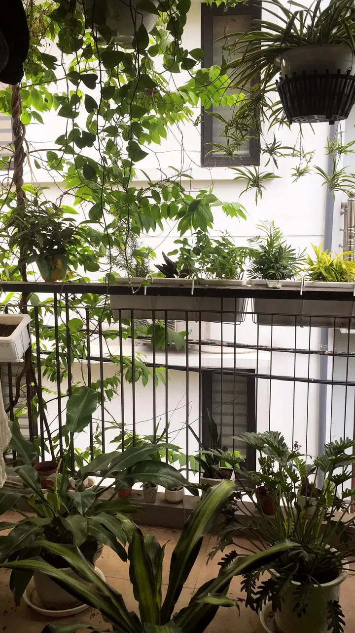 I created an outdoor garden jungle feel on my balcony.