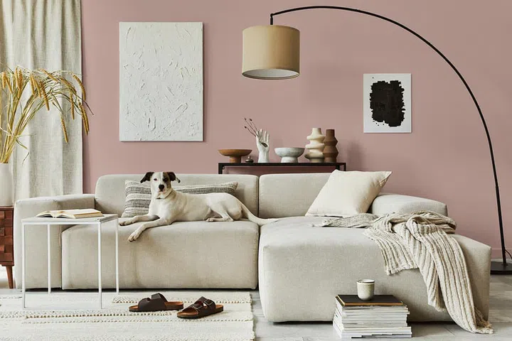 Colour of the Month April 2022: Nippon Paint Vintage Vase