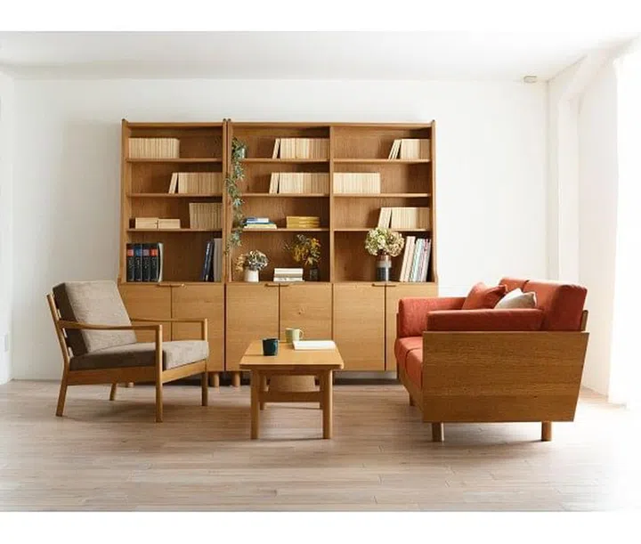 Wooden bookshelf, armchair, coffee table, living room, Scandinavian, vintage