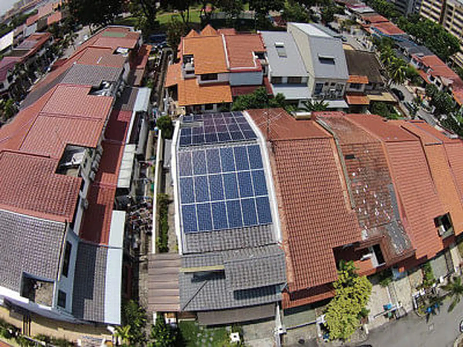 solar energy, polar panels, Rezeca Renewables, eco-friendly