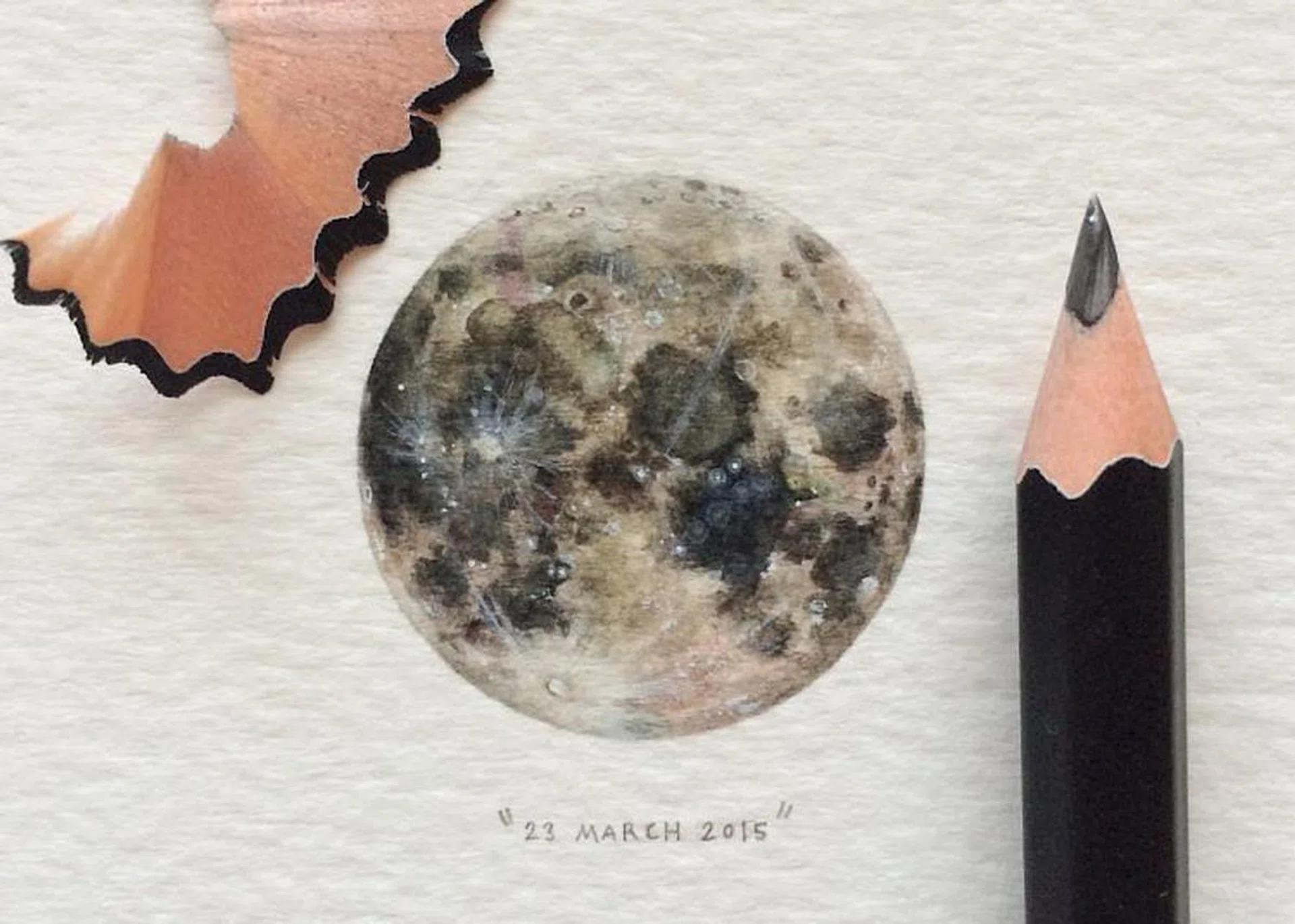 73544-_antsinsingapore_