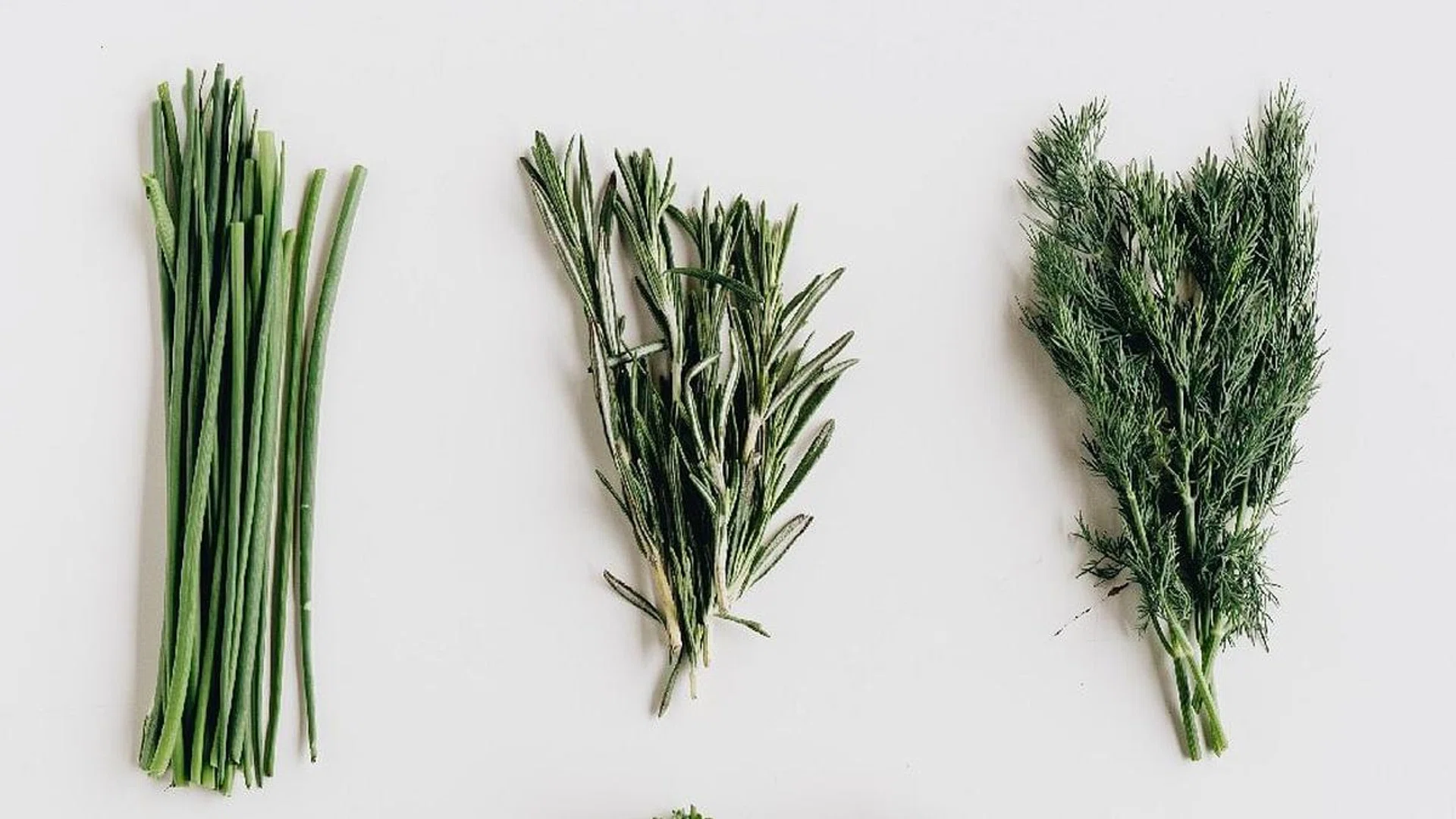 7 Best Natural Mosquito Repellent: Plants, Herbs, Dried Fruits (Photo Pexels Alleksana)