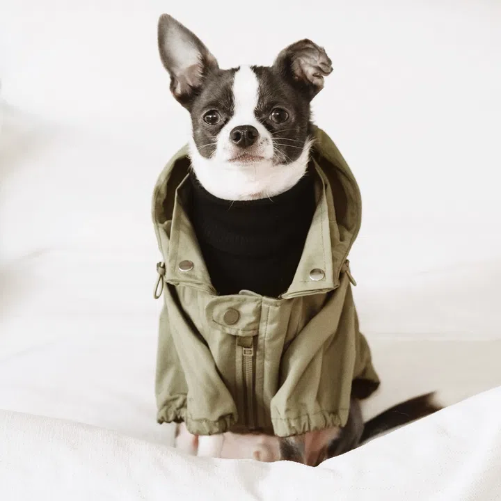 Lambwolf Collective’s Brooklyn dog coat in Fern.