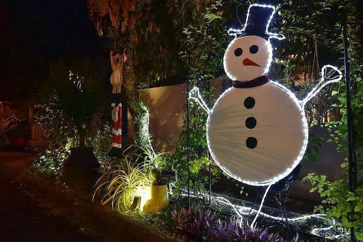 Christmas decorations line the outside of Mr and Mrs Richard Lim's two-storey semi-detached house in Seletar Hills Estate. PHOTO: DIOS VINCOY JR FOR THE STRAITS TIMES