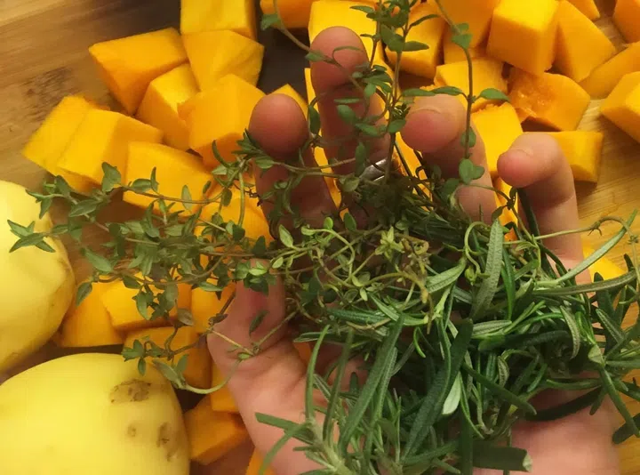 Freshly picked thyme and rosemary that I grew on my balcony garden.