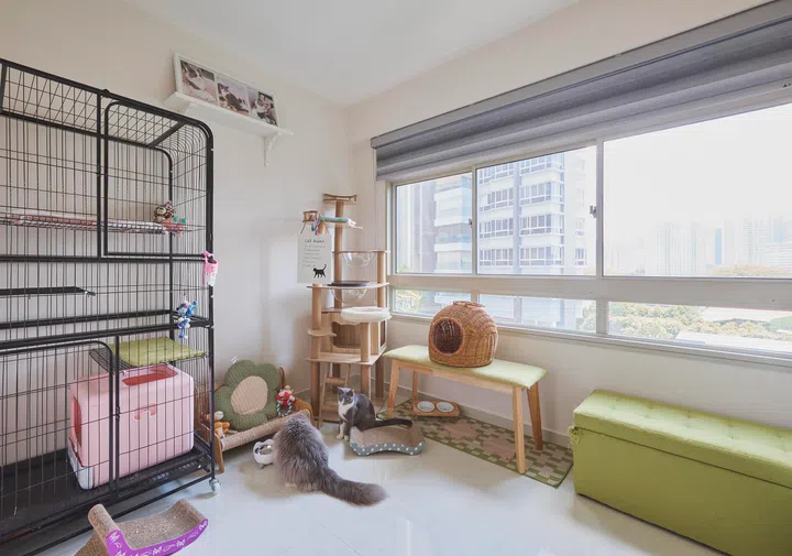 Charlotte says, “This home is uniquely mine as I have made it a cosy and comfortable space for myself and especially so for my cats to live in...”