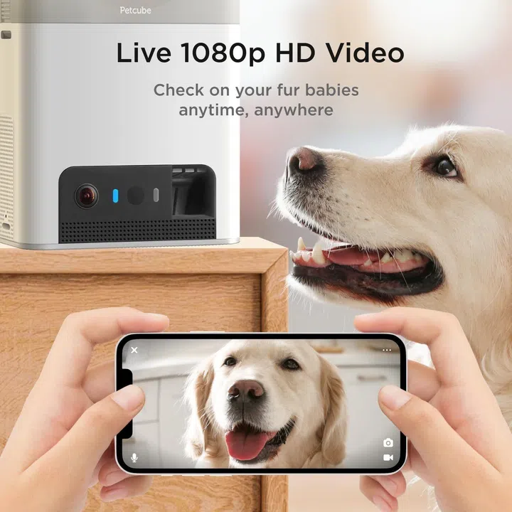Petcube Bites 2 Lite All-in-One Pet Camera Treater, White