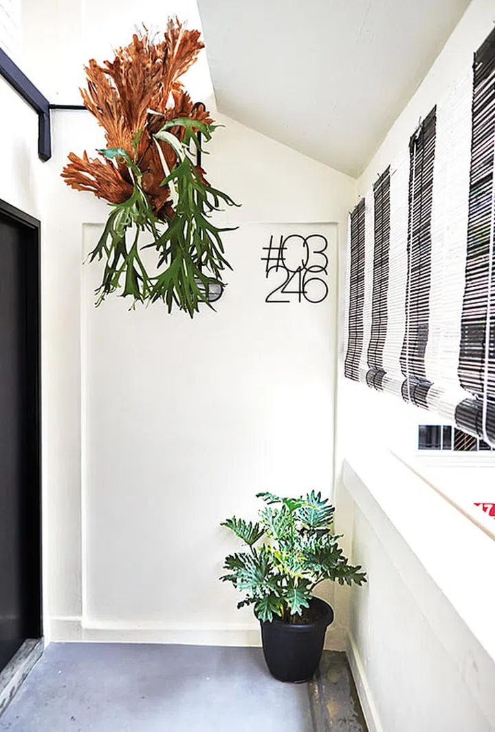 A hefty wall-hung fern greets visitors at the entrance of the corner-unit maisonette.