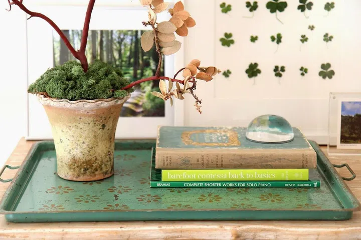 vignette, books, plants