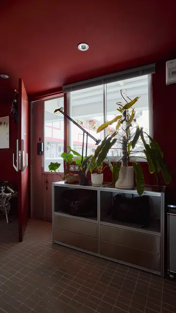 More than 50 plants are dotted throughout Weilun’s apartment, adding softness to the otherwise boxy space.