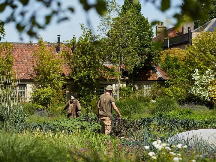 Lush green garden of boutique hotel The Pig in Somerset County, near Bath, United Kingdom
