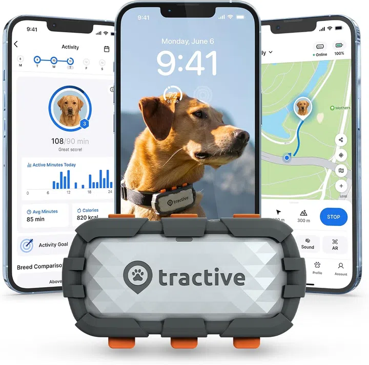 Tractive XL Smart Dog GPS Tracker
