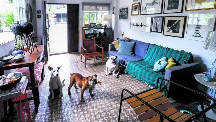 3 Dogs in the modern vintage interior design living room of a semi-detached house off Yio Chu Kang Road, reminiscent of 1980s architecture, resonates with the homeowner's childhood memories.