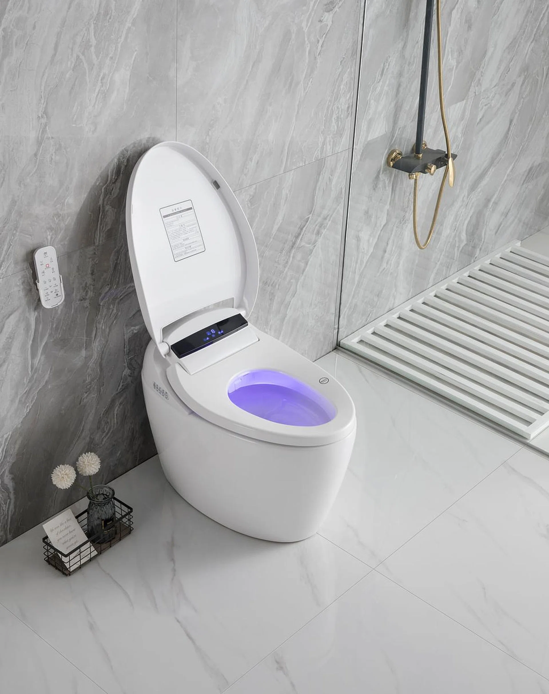 Starke Luxus Luxury Intelligent Toilet Bowl, $3,999